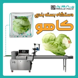 دستگاه بسته بندی کاهو پیروز پک - بسته بندی کاهو با دستگاه های بسته بندی پیروزپک