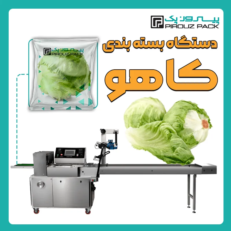 دستگاه بسته بندی کاهو پیروز پک - بسته بندی کاهو با دستگاه های بسته بندی پیروزپک