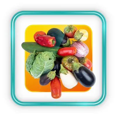 آیکون دسته بندی دستگاه بسته بندی میوه و صیفی جات در صفحه اصلی