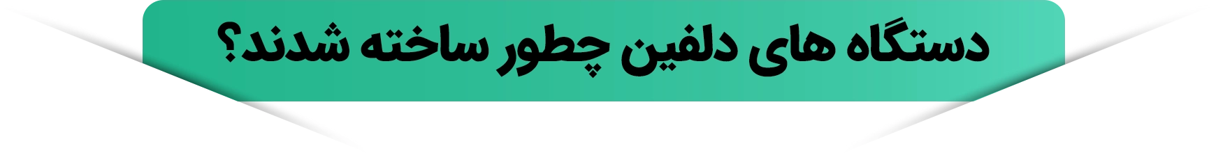 آیکون دستگاه های بسته بندی دلفین چطور ساخته شدند؟