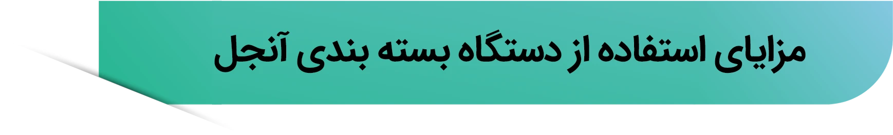 آیکون مزایای استفاده از دستگاه بسته بندی آنجل